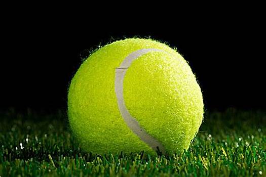 议的瑰宝 议的瑰宝