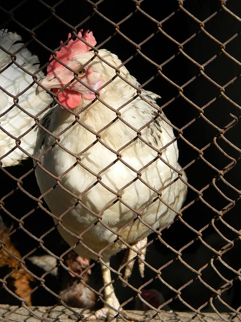 不仅丰富了 不仅丰富了