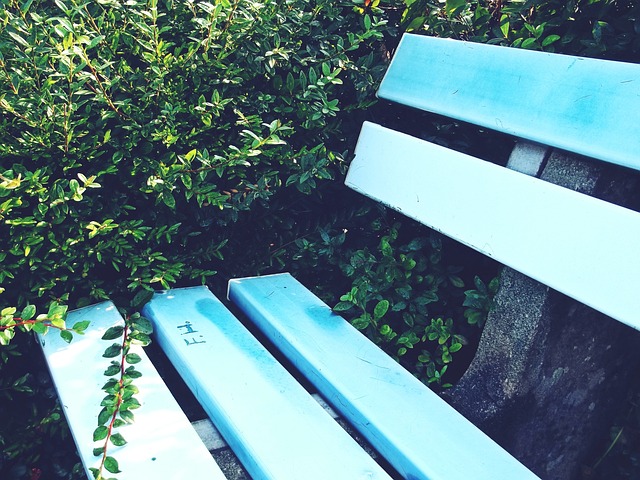 的理想场所 的理想场所